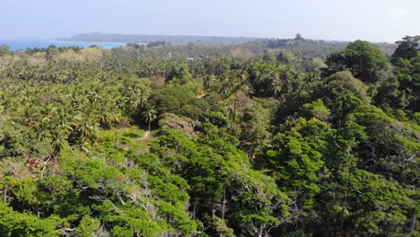 Aufsteigende-Drohne-über-Einer-Abgelegenen-Andamaneninsel-Mit-Wäldern,-Einer-Kleinen-Unbefestigten-Straße-Und-Einer-Halbinsel-Und-Einem-Ozean-In-Der-Ferne