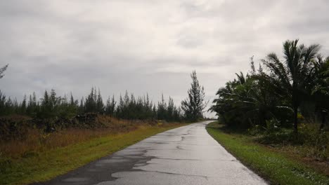 A-road-over-a-young-lava-flow-with-typical-vegetation-and-cloudy-skies-on-Hawaii-Island-in-the-rainforest