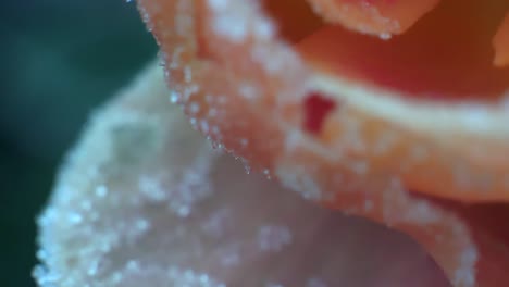 Ein-Nahaufnahmemakro-Aus-Eiskristallen-Auf-Einer-Pfirsichfarbenen-Rose-Mit-Dunkelgrünem-Hintergrund