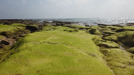 An-unusual-natural-ecosystem-when-the-tide-is-out