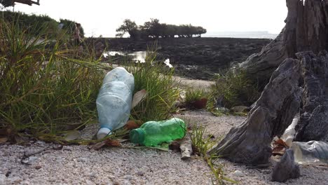 A-caucasian-woman-out-of-focus-has-just-finished-training-on-the-beach-of-a-remote-island-in-the-andaman-sea-and-in-the-foreground-plastic-bottles-have-been-dumped-next-to-a-huge-tree