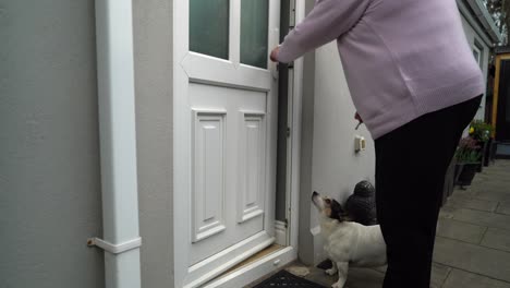 Woman-unlocks-door-and-lets-her-jack-russel-dog-into-house-closing-door-behind-them