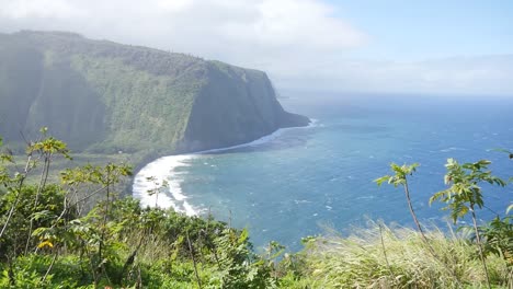 Waipi'o-Valley-on-Big-Island-Hawaii-on-a-sunny-spring-day-with-winds-blowing-on-the-Pacific-Ocean-and-plants-in-the-foreground