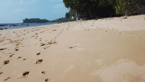 Following-footprints-on-the-sand-leading-to-a-tree-where-snorkel-gear-has-been-hung-to-dry-on-a-remote-beach-of-golden-sand-and-turquoise-sea-in-the-andaman-islands,-India