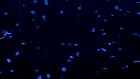 Micro-plastics-in-water-with-blue-light-floating