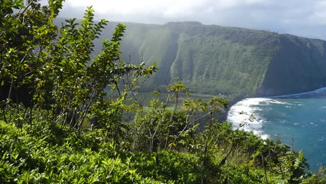 Waipio-Valley-from-the-visitor-lookout-on-a-sunny-spring-day-with-clouds-and-surf-as-well-as-local-vegetation