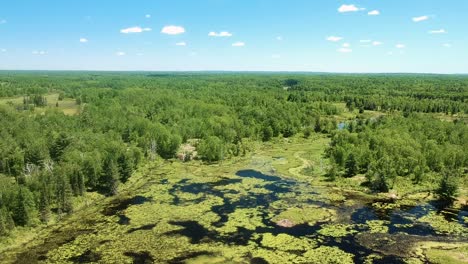 Drone-shot-of-wetlands-in-a-rural-forest-location-in-Ontario,-Canada