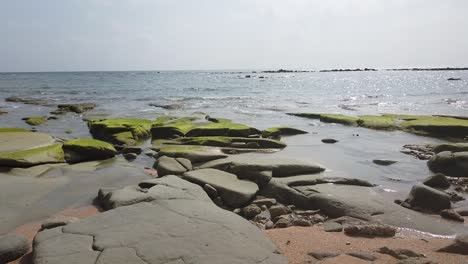 Panoramic-swing-shot-of-a-rocky-beach-in-the-Andamans-in-India-at-low-tide-in-the-midday-sun-showing-the-green-sea-plants-growing-on-the-rocks