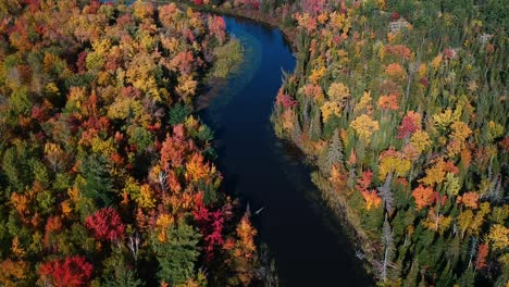 River-cutting-through-the-beautiful-fall-foliage-in-the-countryside-of-Northern-Ontario,-Canada