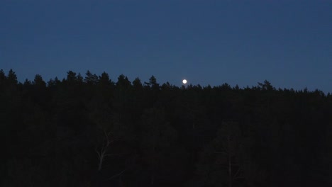 full-moon-rising-over-dark-shapes-of-treetops