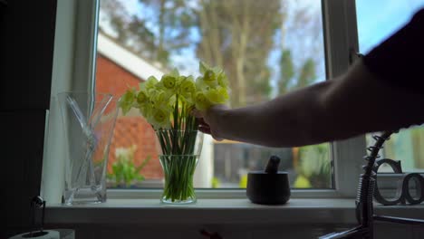 Narzissen-Mann-Stellt-Blumenvase-Am-Fenster-Gelb-Frühling-Glücklich-Hoffnungsvoll