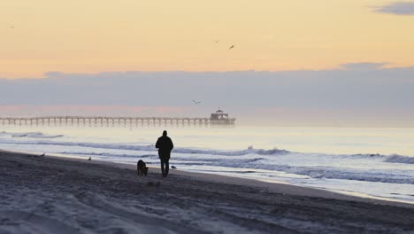 Silhouette-of-person-walking-on-sandy-beach-with-dog-during-sunrise-and-crashing-waves