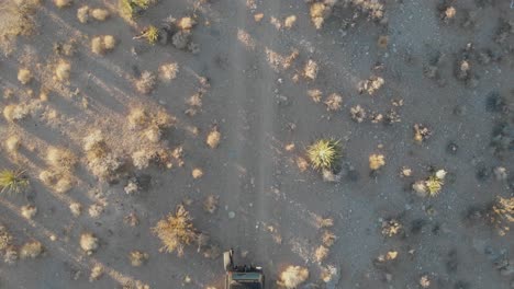 Jeep-En-El-Camino