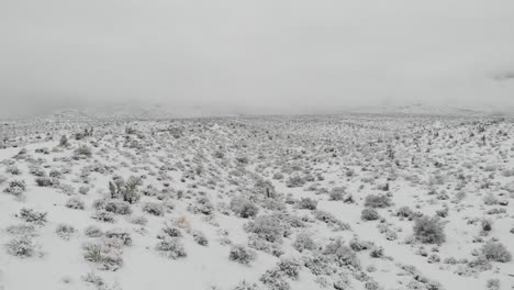Sendero-De-Nieve-Del-Desierto