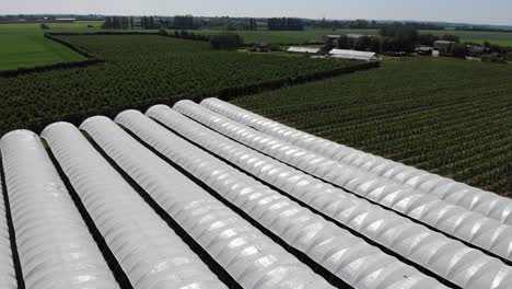 Aerial-view-descending-of-plastic-tunnels-for-soft-fruit-farming-at-a-farm-in-south-east-England