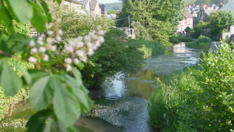 The-river-Dour-in-Kent-banked-by-houses-and-gardens-in-Dover-town-in-England