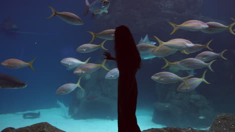 Woman-Walking-And-Touching-Glass-Of-A-Massive-Aquarium-In-Tampa,-Florida-With-Yellowtail-Snapper-Fish-Swimming-Inside