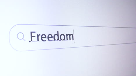 Browserleiste-Mit-Eingegebenem-Freiheitsschlüsselwort-Auf-Dem-Computerbildschirm,-Seo-konzept