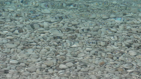 Meeresbodenstruktur-Mit-Weißen-Kieselsteinen-Unter-Sauberem-Wasser,-Das-Sonnenlicht-Reflektiert