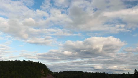 Zeitraffer-Von-Kumuluswolken,-Die-Sich-An-Einem-Blauen-Himmel-Bilden,-Der-über-Kiefern-In-Der-Landschaft-Kanadas-Geht
