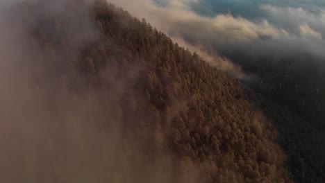 Aerial-flight-through-mountain-forest-fog-with-sea-of-cloud-in-valley