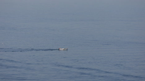 Motorboat-sailing-on-calm-sea-surface-tracing-seawater-at-summer-morning