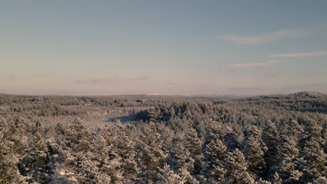 Paisaje-Invernal-Nevado-En-Suecia,-Filmado-Por-Drones