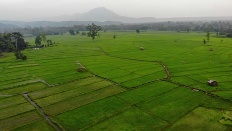 Wide-Aerial-Shot-moving-forwards-over-fields-at-Salavan-Province,-Laos