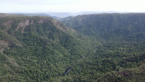 Vista-Aérea-Del-Bosque-Verde-En-Las-Montañas-En-El-Parque-Nacional-Girringun,-Qld,-Australia