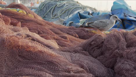 Tilt-from-fishing-net-to-seagull-in-the-background-on-the-docks-in-Porto,-Portugal
