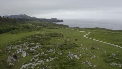 Aerial-Over-Coastal-Trail-Path,-Horses-And-Grassland-Pasture,-Asturias