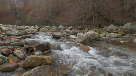 Herbstflusswasser-Im-Bergwald-Mit-Gelben-Und-Roten-Laubbäumen