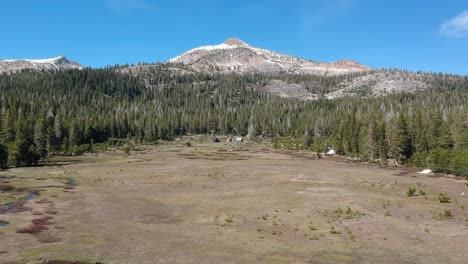 Kiefernwald-In-Den-Ausläufern-Der-Sierra-Nevada,-Kalifornien-Landschaft