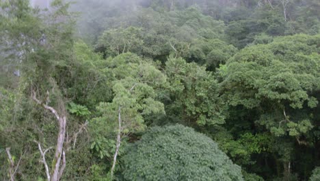 Levantamiento-Aéreo-De-Una-Pareja-De-Pie-Cerca-De-La-Cascada-De-Las-Lajas-Que-Fluye-Hacia-Un-Estanque-Rocoso-Rodeado-De-Bosques,-San-Luis-Morete,-Costa-Rica