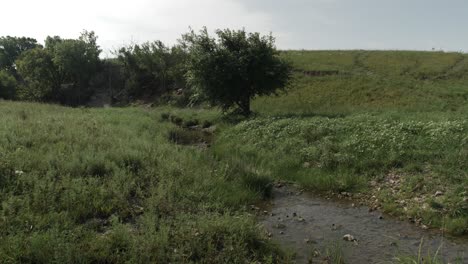 A-water-stream-flows-through-green-grass-and-trees-in-the-flint-hills-of-Kansas-on-a-warm-summer-day