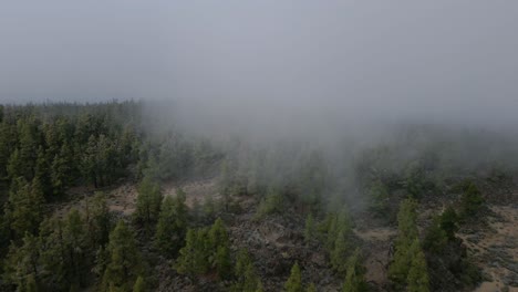 Foggy-national-park-El-Portillo-Bajo-not-far-from-Vulcano-Teide-on-Tenerife,-Spain