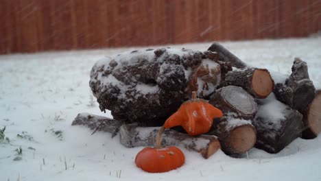 Snow-falling-slowly-over-a-pile-of-wood-and-a-few-pumpkins
