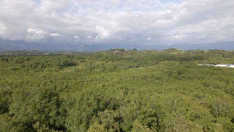 Tin-hut-village-bordering-on-a-lush-rainforest-with-mangroves-on-Damas-Island,-Costa-Rica