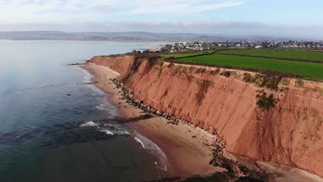 Aerial-View-Of-Orcombe-Cliff-Coastline-On-Sunny-Day-In-Exmouth