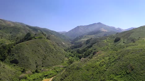 Vista-Aérea-De-La-Exuberante-Montaña-Verde-Y-El-Bosque-En-Verano