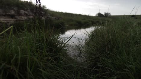 A-quiet,-calm-stream-of-water-in-the-middle-of-a-Kansas-prairie-field-in-the-flints-hills-surrounded-by-green-grass-and-hills-in-the-summer-time