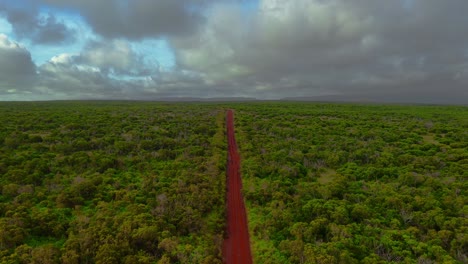 Fly-over-a-red-dirt-pathway-in-a-dry-forest-during-a-cloudy-day