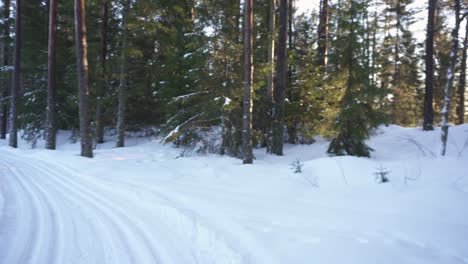Panorama-Of-Snowy-Forest-With-Directional-Signpost-Pointing-To-Norwegian-DNT-Cabin-In-Norway-At-Winter