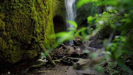 Close-up-of-brushes-revealing-Mili-Mili-waterfall-streaming-into-natural-pond-surrounded-by-dense-green-vegetation,-Coñaripe,-Chile