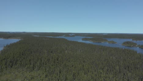 Drone-flying-laterally-over-a-wild-lake-and-forest-on-a-beautiful-summer-day