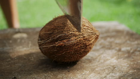A-hard-coconut-shell-is-difficult-to-cut-in-half-with-a-sharp-cleaver---slow-motion-isolated