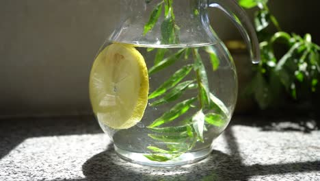 Pitcher-Of-Water-With-Slice-Of-Lemon-And-Burrito-In-Sunlight