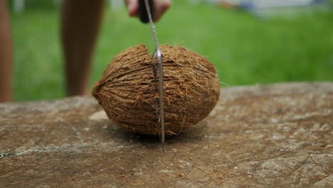 Chopping-a-coconut-in-half-to-get-to-the-white-juicy-meat-inside---isolated-slow-motion