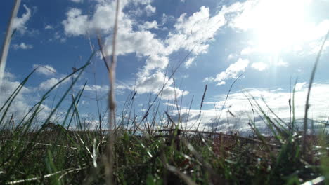 Timelapse-of-clouds-passing-overhead-from-ants-point-of-view-looking-past-grass-grass-in-open-grasslands