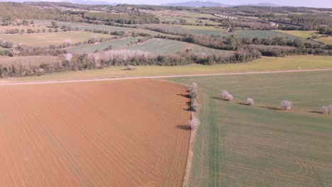 Luftaufnahmen-Mit-Drohne-Eines-Feldes-In-Der-Gegend-Von-Girona-Spanien-Grüne-Landschaft-Natur-ökologischer-Landbau-Trockene-Rote-Erde